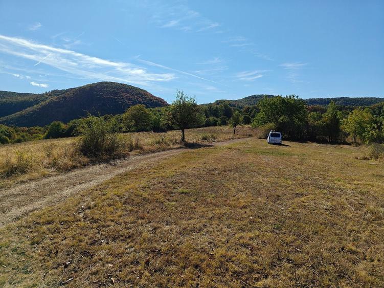 Vand teren extravilan pasune 3,54 ha - 2