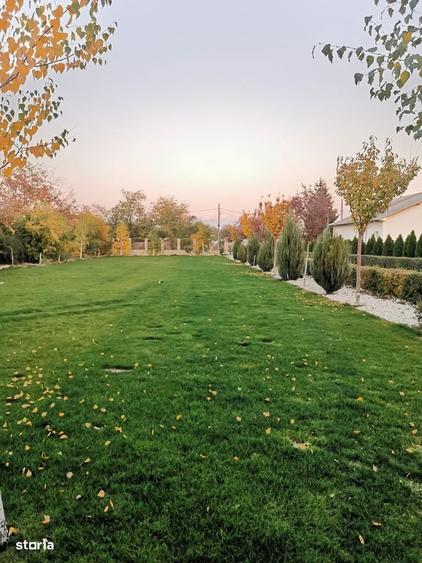 Casa Ulmi 15 min de Bucuresti km 23 A1 - 4