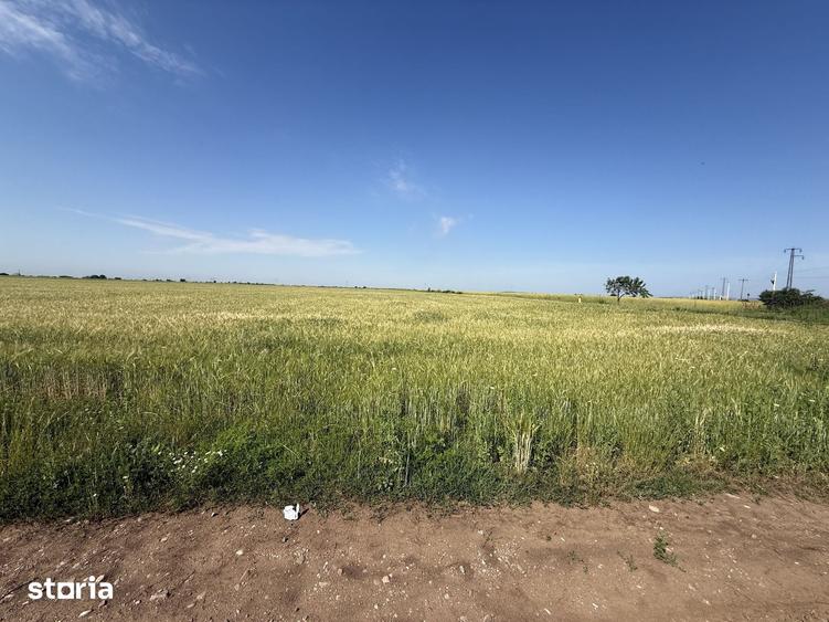 Teren de 10 mp, în Ariceștii Rahtivani