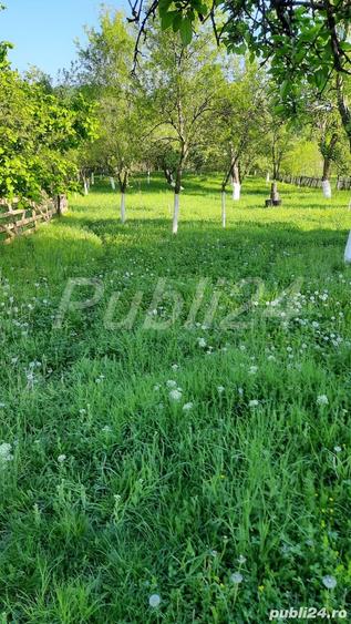 Casă cu 3 camere în Sălătrucel