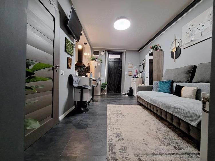 Apartament cu 2 camere semidecomandat în Take Ionescu