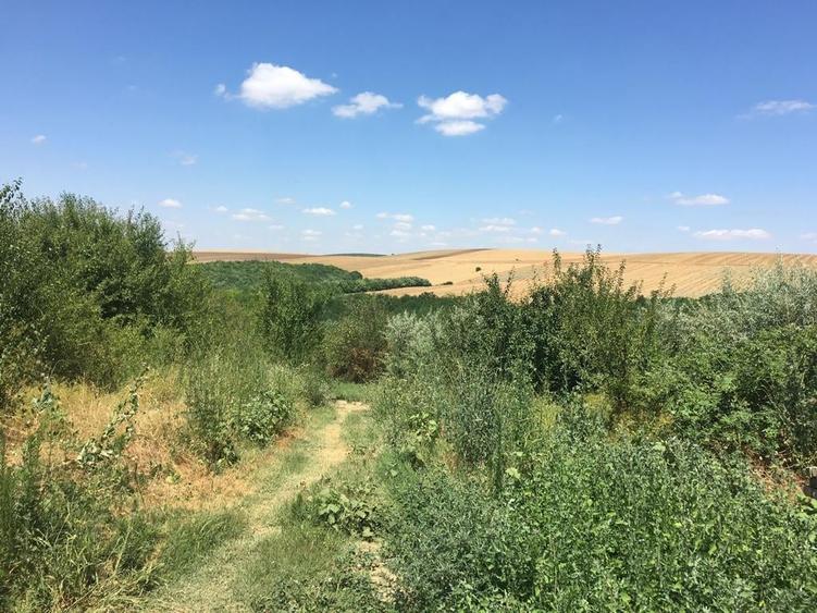Teren agricol extravilan de 15 mp, în Ostrov