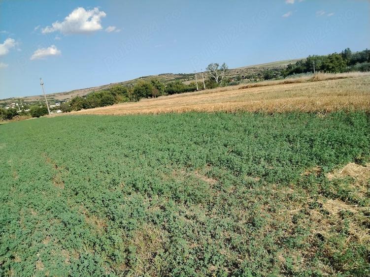 Teren de 2700 mp, în Central