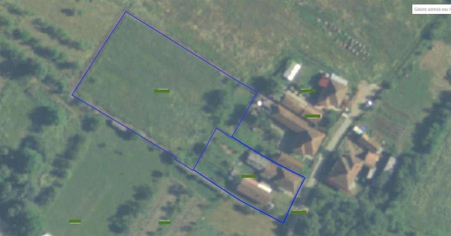 Casă individuală cu 4 camere cu Teren 3892 Mp în Baia de Criș