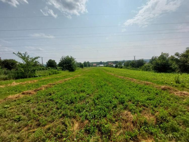 Teren Construcții intravilan de 3800 mp, în Lilieci