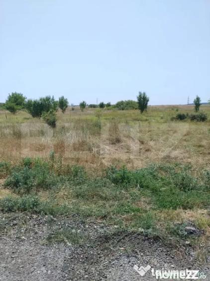 Teren de 500 mp, în Brestei