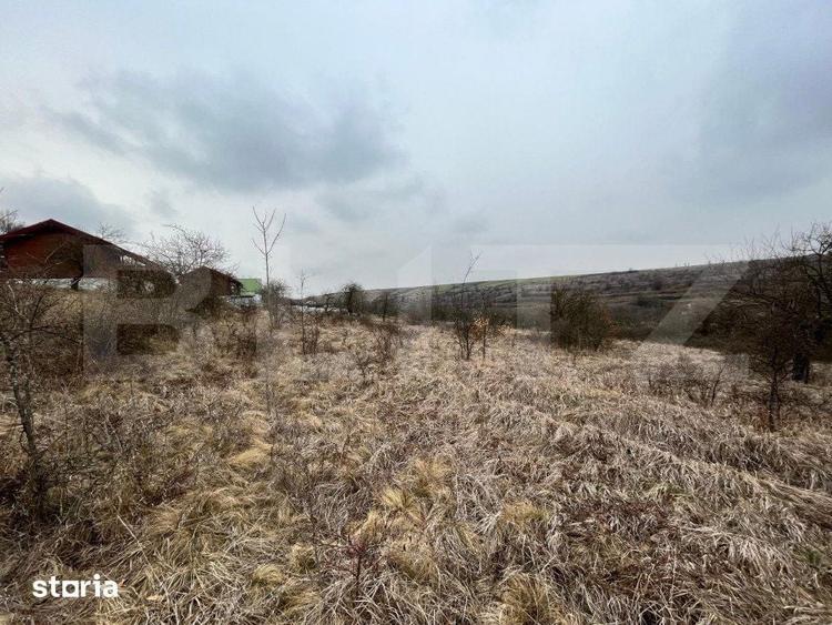 REDUCERE!!! Teren extravilan 5.613 mp, livada, zona Predesti - 4