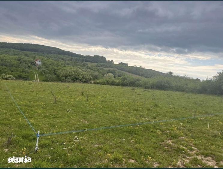 Teren intravilan pentru casa 500mp vedere panoramica Aleea Trifoiului - 3