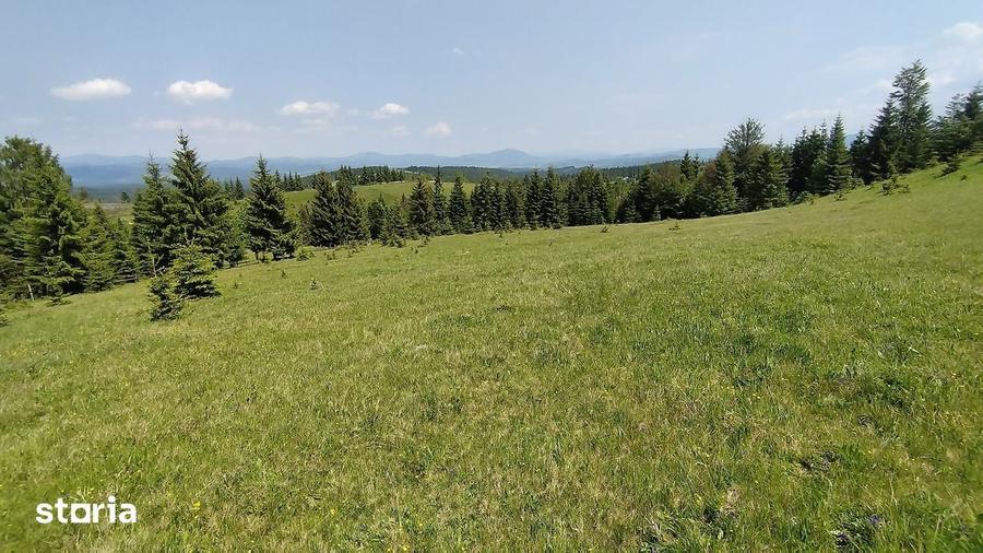 TEREN DE VANZARE Piatra Fantanele/TIHU?A - 11