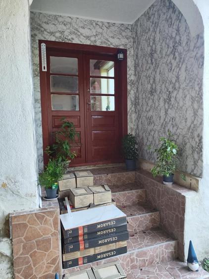 Casa de vacanta de vanzare in Cosdeni - 7