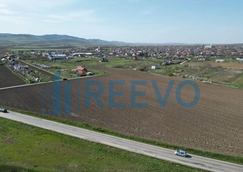 Teren de vanzare, Com. Nicolae Balcescu, Jud. Bacau - 6