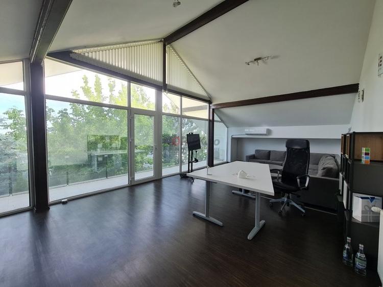 Private Estate lângă București | Vilă, Piscină & Sport Court - 27