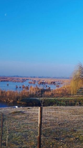 Vand teren intravilan 4000MP cu  dechidere la Delta Neajlovului, Comana GR - 5