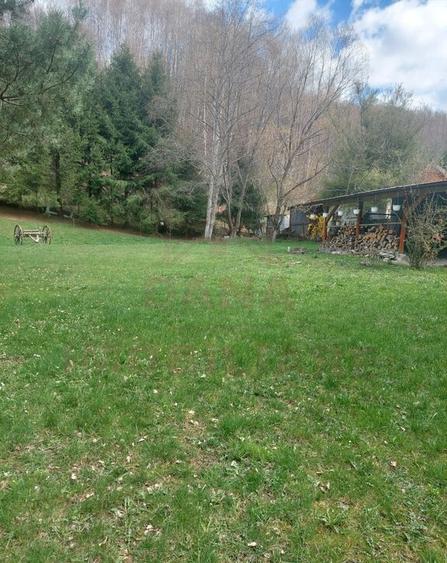 CASA DE VACAN?A 5 CAMERE,POINANA MARULUI, JUD.CARA?-... - 1