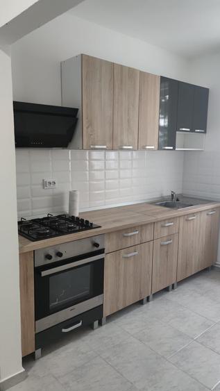 Inchiriez apartament cu 2 camere, cartier Vasia, disponibil de la 1.04 - 1