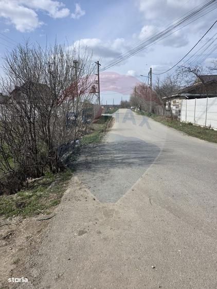 Teren Balotesti Dumbraveni 16.700 mp /8350 mp /loturi 500 mp - 5