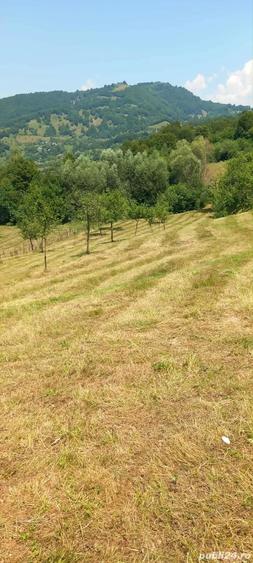 Casa locuibila + teren 8900 mp, utilita?i, anexa, livada-toate actele. - 7
