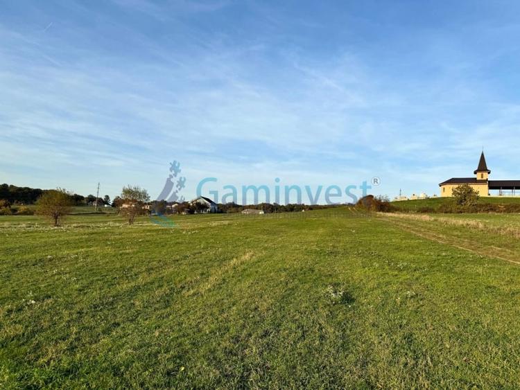 Teren de vanzare in Betfia, 5487 mp intravilan, Bihor - 3