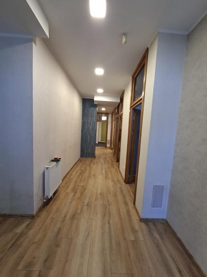 Spatiu centra Mircea cel Batran - 9