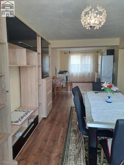 Casa individuala de vanzare - 9