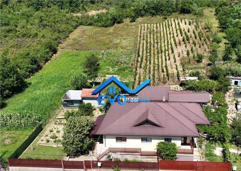 Casa de Uricani, Miroslava, Iasi - 0 Comision, 1000 mp Tere - 6