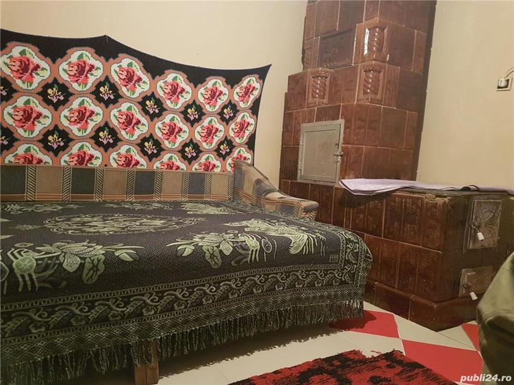 Casa cu iaz jud Teleorman - 8