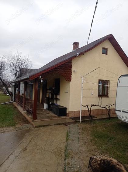 Casa locuibila, cu vie ?i livada - 4