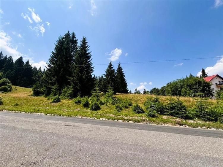 Teren Intravilan 1000MP Utilitati 3 Brazi Predeal - 1