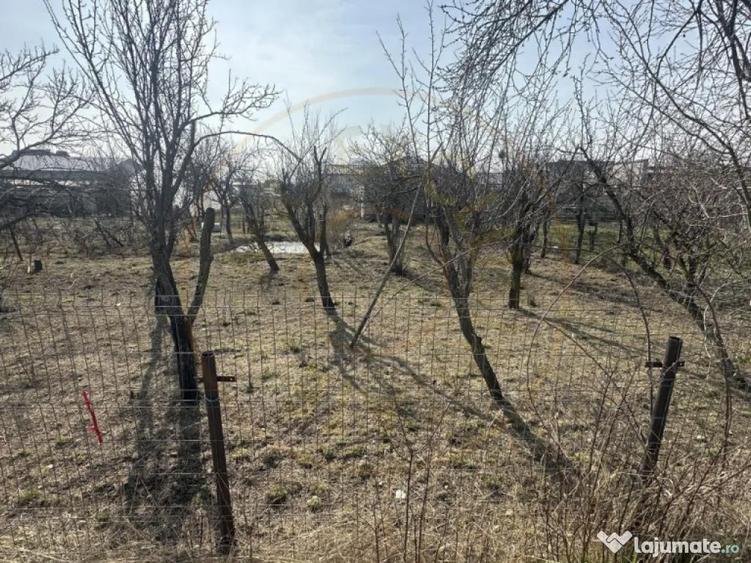 Teren 800 mp intravilan str. Olteni, Mosoaia, Arges - 1