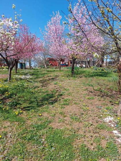 Resita, Teren / gradina. Calea Caransebesului - 1