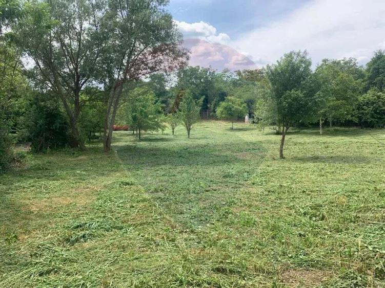 Teren 2877 mp, cu casa batraneasca de vanzare, BOGDA Timi? - 2