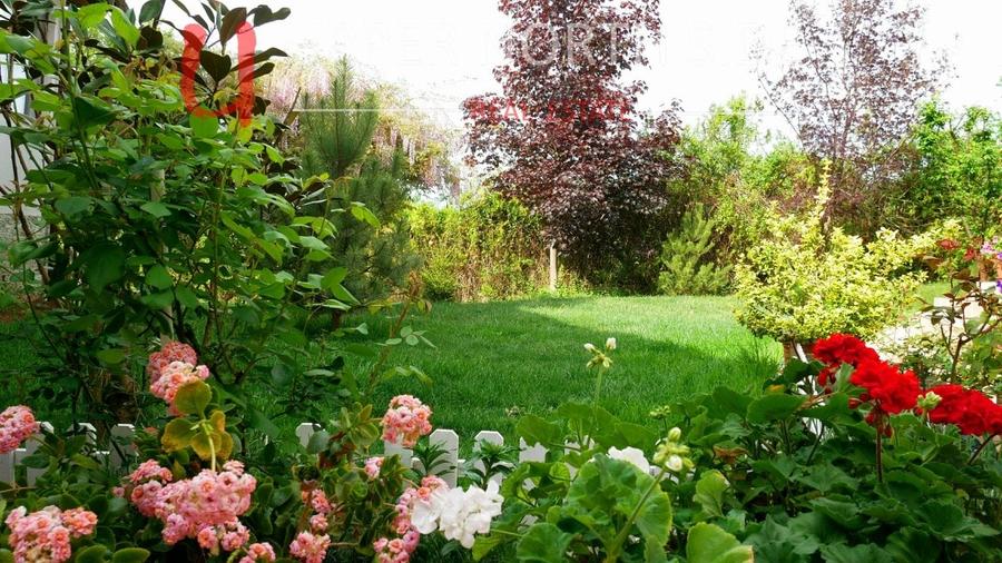 Mansion Luxuriant | Piscina Interioara | Teren tenis | 2500 mp gradina superba - 8