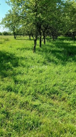 REDUCERE DE PRET! Teren in zona Sub Dura ,40 ari pentru constructii industriale