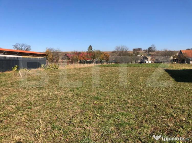 ???? Teren de vanzare in jude?ul Bra?ov 1.481 mp, ut - 6
