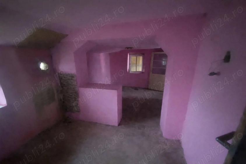 Casa cu posibilitate de dezvoltare comerciala - 1