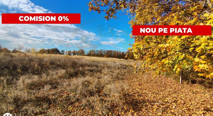 Terenuri intrevilane Comuna Mosoaia - 1