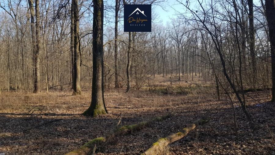 3 Ha Padurea Baneasa ZOO - Pipera - Schimb sau RATE - 5