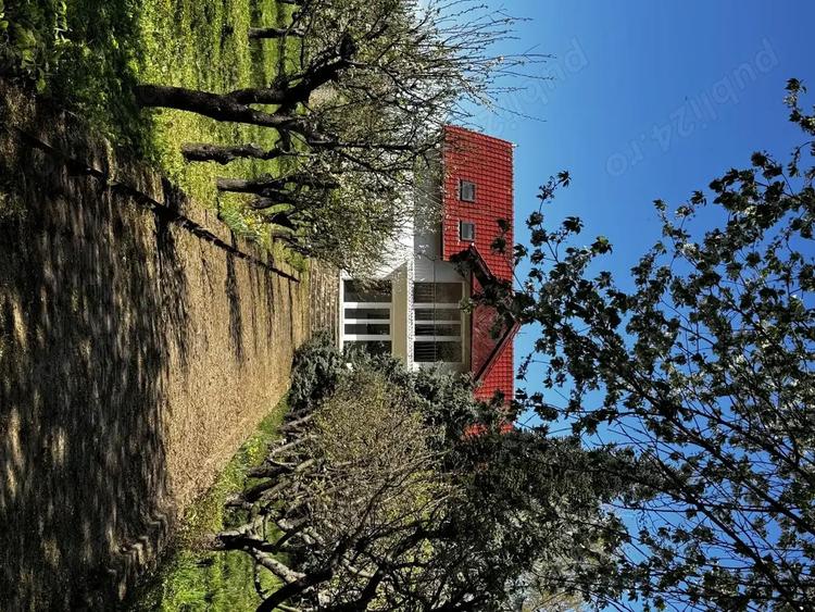 Vila cu livada Paulis, Arad - 10