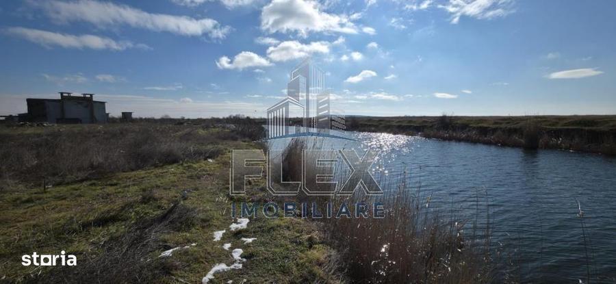 Vanzare Teren Delta Dunarii 3.83 Ha - Oportunitate - 6