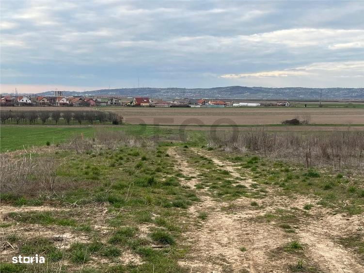 RECO Teren intravilan 700 mp cu toate utilitatile- la asfalt Cheriu - 1