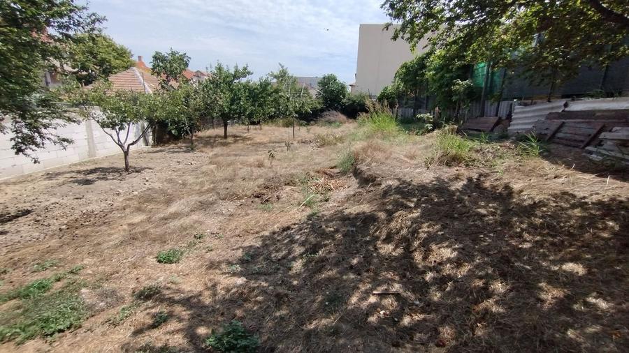 Teren pentru casă verde langa promenada din Ovidiu - 7