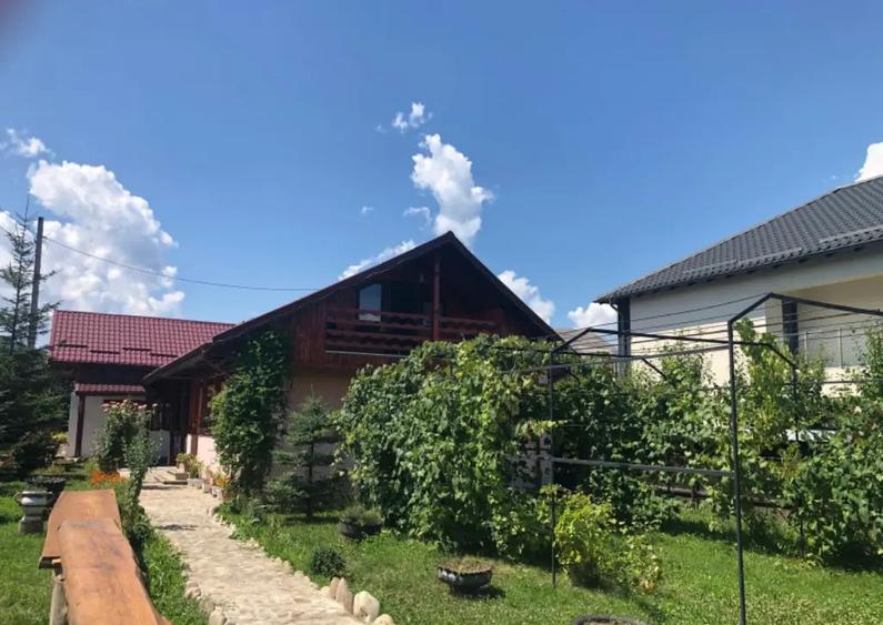 Casa moderna 215mp cu teren 2000mp si teren separat 3000mp Vaduri - 6