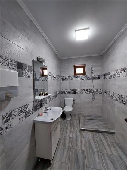 Hala pentru depozitare si sediu administrativ in Vladimirescu - 15