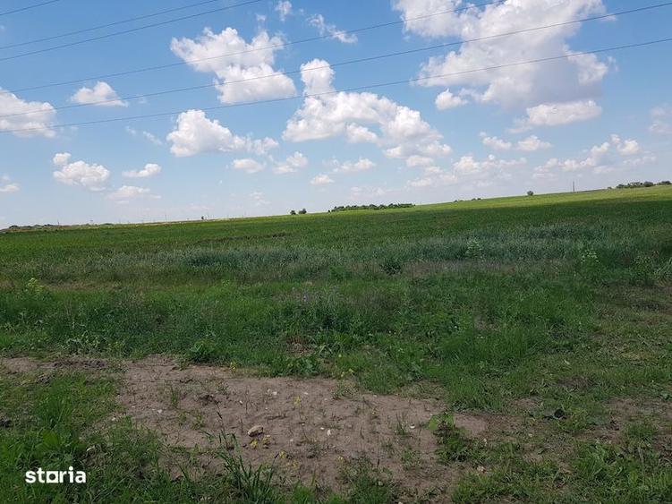 Teren 17.500mp Steaua de Mare - Agigea - 1