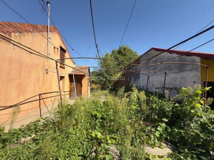 Casa 3 camere , teren 1438 mp - Fratelia