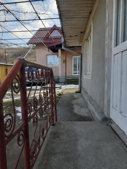 Vand case + anexe si gradina 1355 mp - 2