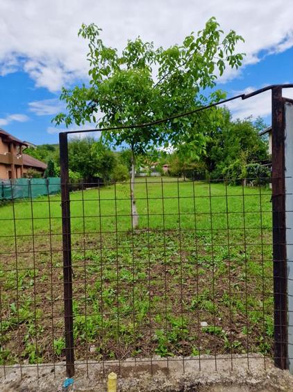 Teren Intravilan 1571 mp,Hunedoara str Latureni, - 2