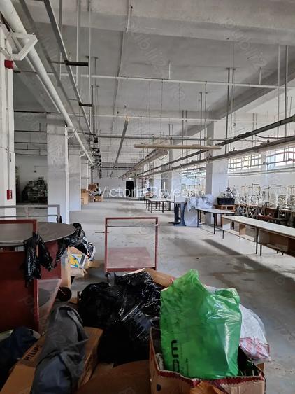 Inchiriere hala industriala