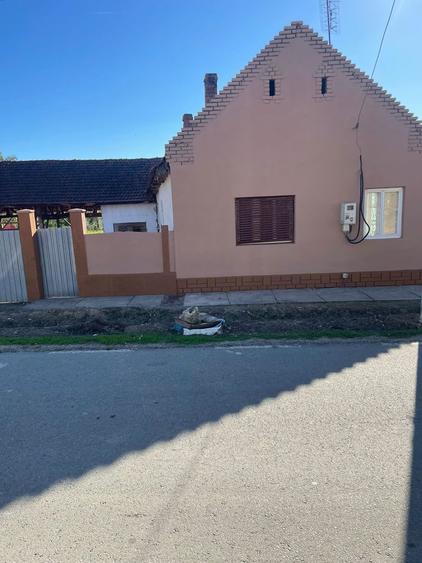 Casa batraneasca si gradina - 8