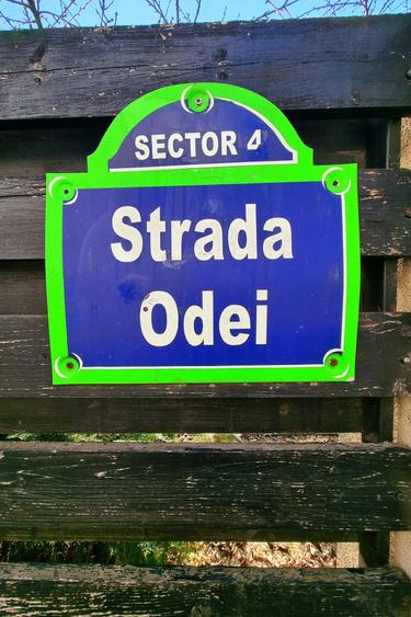 Vanzare casa 4 camere P+1E teren 444mp Strada Odei nr.174 Grand Arena Berceni - 25